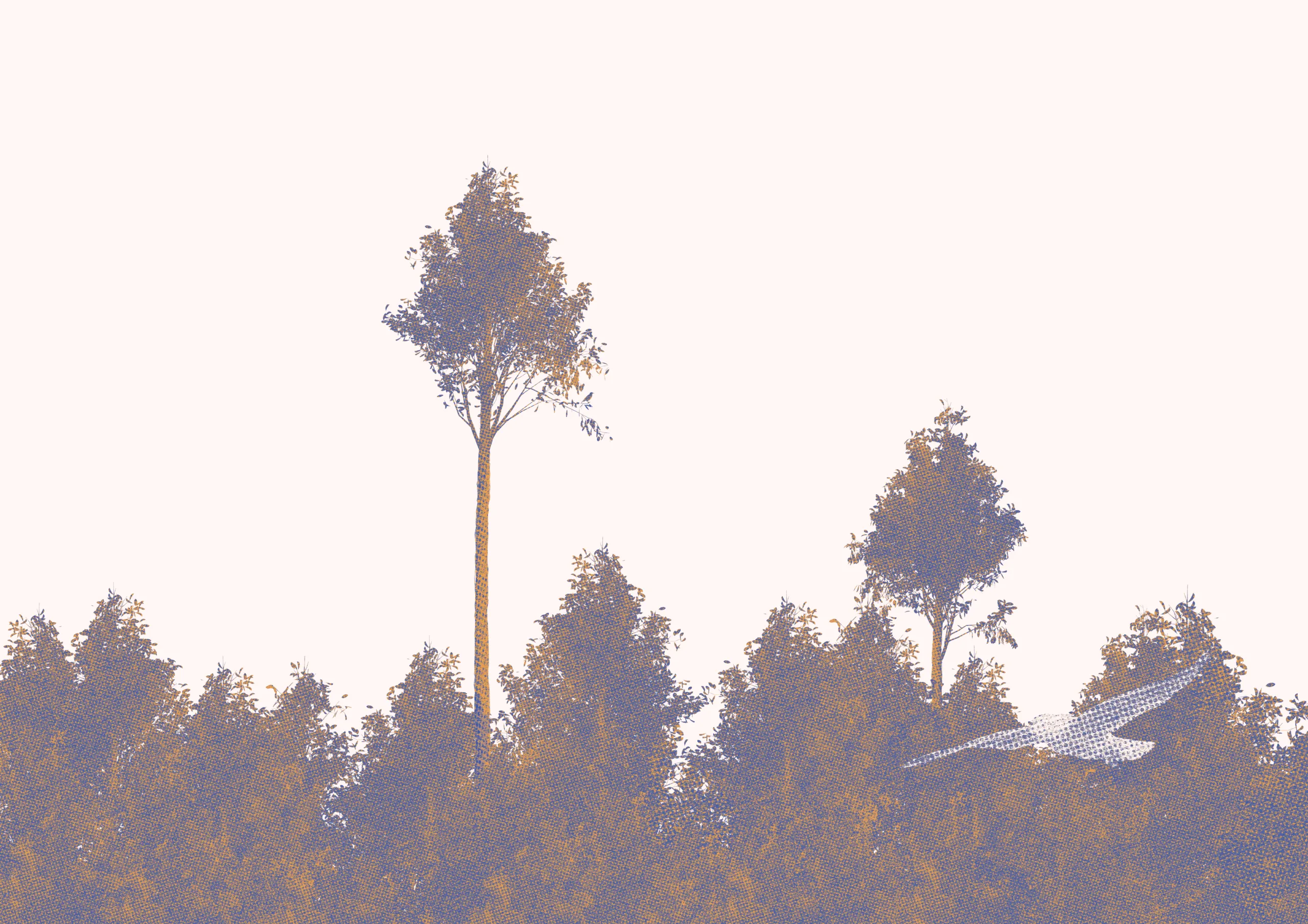 An Ode to an Autumn Among the Birches