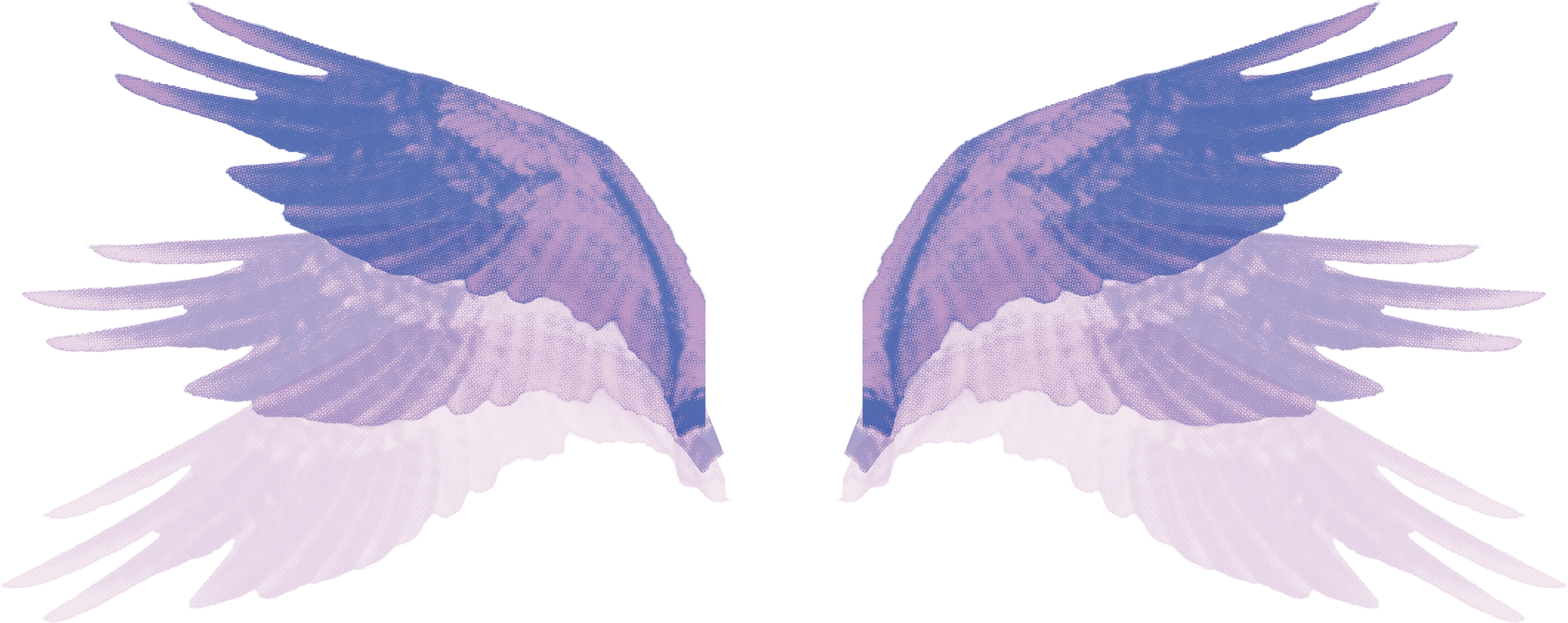 je-wings-m